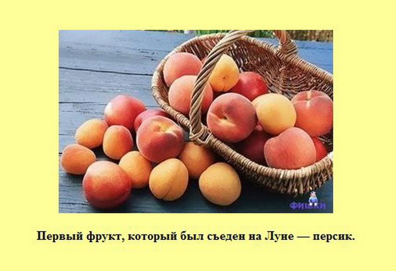 А знаете ли вы про новый год А знаете ли вы про новый год