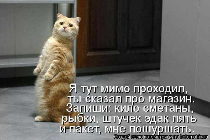 http://tomatoz.ru/uploads/posts/2012-05/1338005464_030_resize.jpg