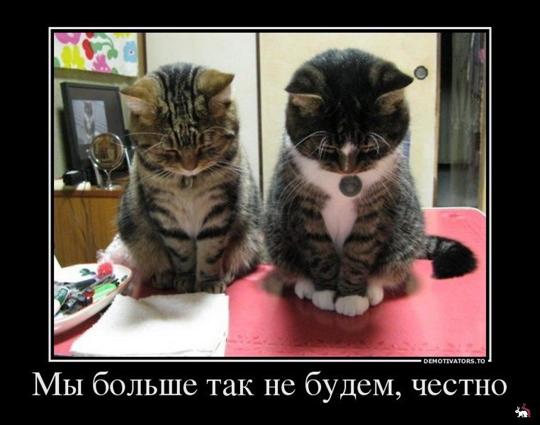 1339061834_1338789135_1338720721_41402843_myibolshetaknebudemchestno_resize.jpg