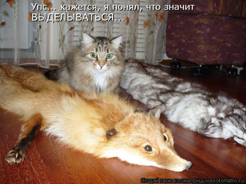 http://tomatoz.ru/uploads/posts/2012-06/1339834060_024_resize.jpg