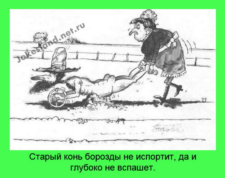 Алмазная вышивка или мозаика описание и наборы 20 вещей, которые надо знать о словаре Даля Arzamas