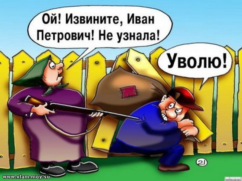 Поздравление руководителя юмор Поздравление руководителя юмор