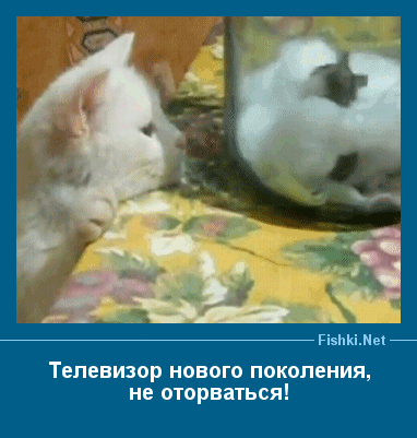 http://tomatoz.ru/uploads/posts/2013-04/1367040277_13_dem.gif