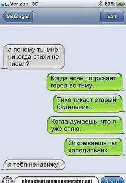 Прикольный стих про то что я люблю Прикольный стих про то что я люблю