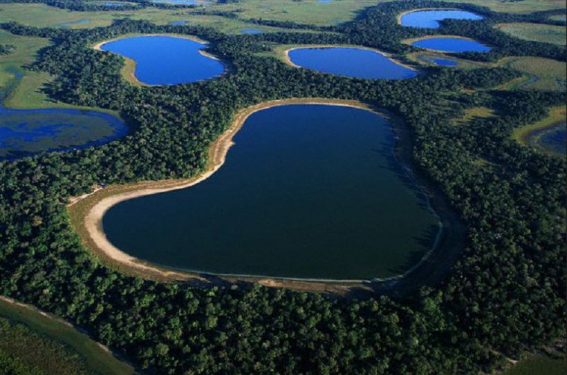 Озера бразилии 7. Пантанал Бразилия. Впадина Пантанал. Амазонка Пантанал. Пантанал Южная Америка.