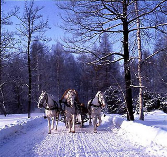 Слушать песню в лунном сиянии снег. Тройка зимой. Три лошади. Три белых коня гиф. Зимняя тройка гиф.