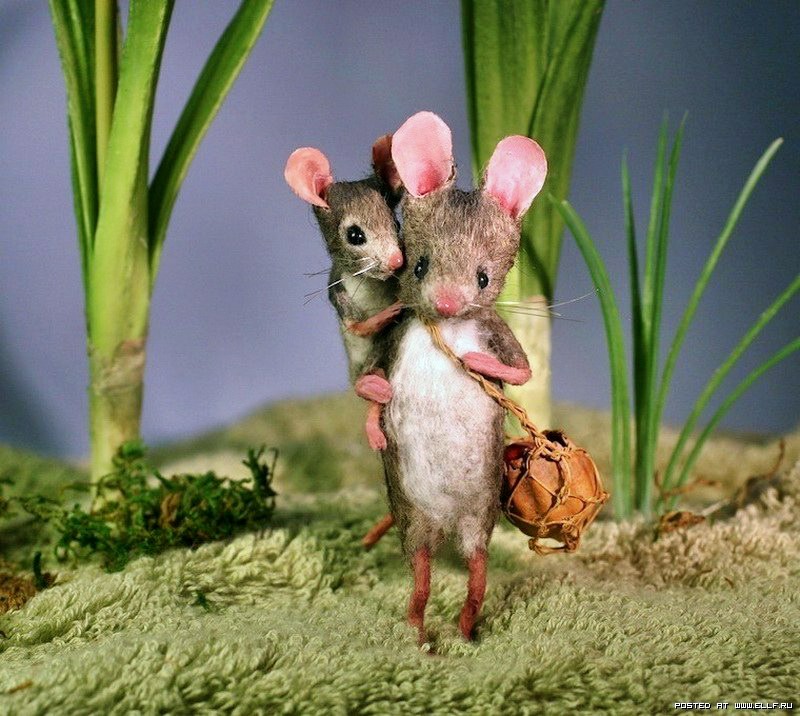 Милая мышь. Мышки Мэгги Руди. Жизнь маленьких мышат Мэгги Руди. Мышка. Прикольный мышонок.