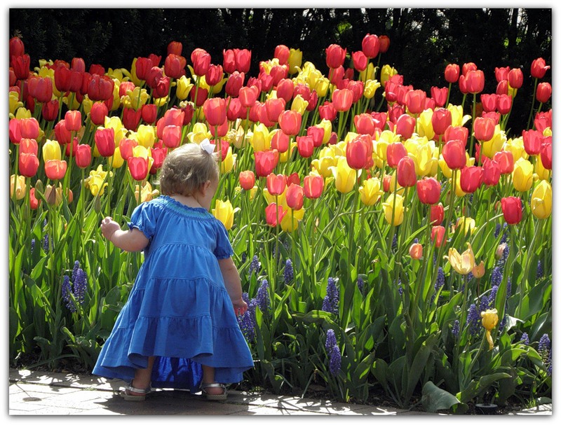 Pick flowers. Flower Yoogin фотографии. Spring pick Flowers.