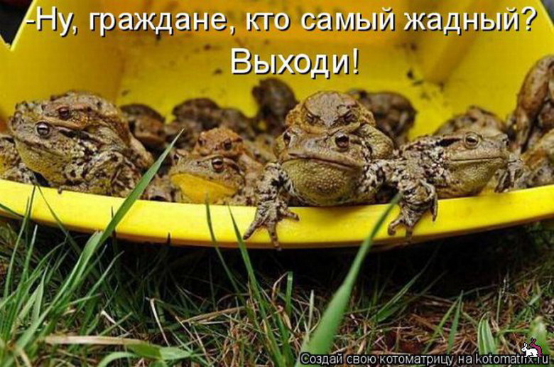 Где тут животные. Где тут животные