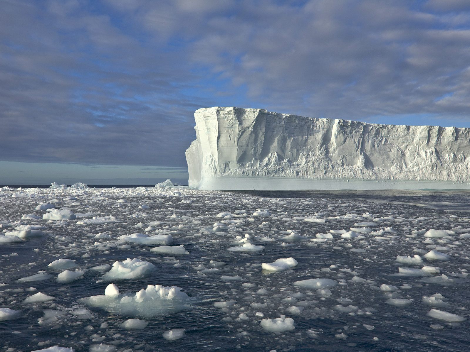 Ледовое море. Ледовитый океан Айсберг. Северный Ледовитый океан паковый лед. Айсберги Северного Ледовитого океана. Карское море ледяной Покров.
