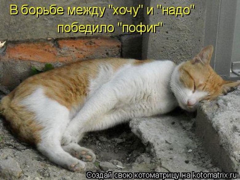 Картинки мне пофиг. А мне пофиг. Надпись пофигу. Майнкрафт заказывали? нет? а мне пофиг!!!. Пофиг прикол.