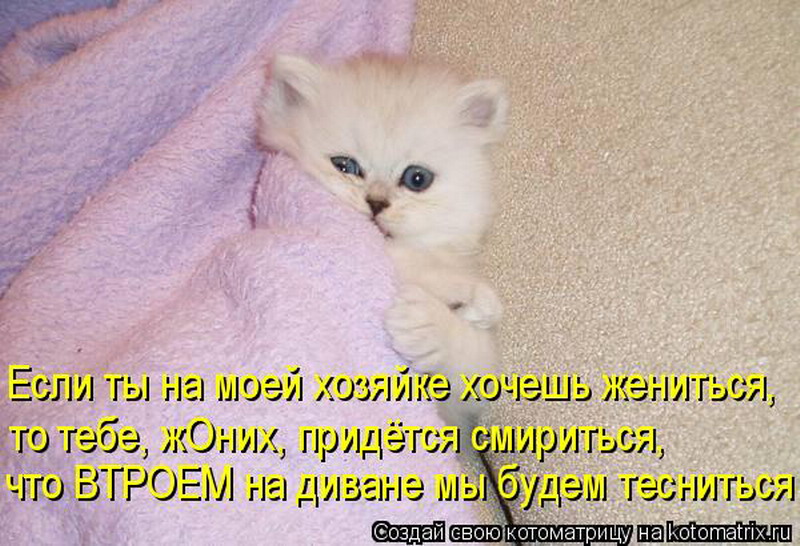 Холодновато. У меня сегодня выходной. У меня выходной. Сегодня выходной картинки. Тебе на работу а у меня выходной.