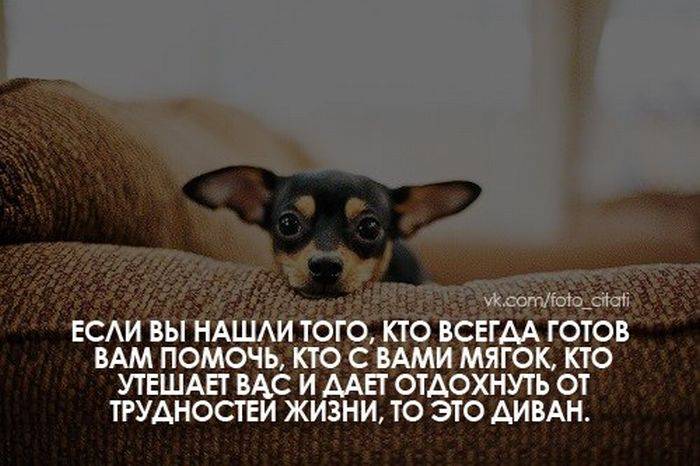 Картинки со смешными надписями и фразами