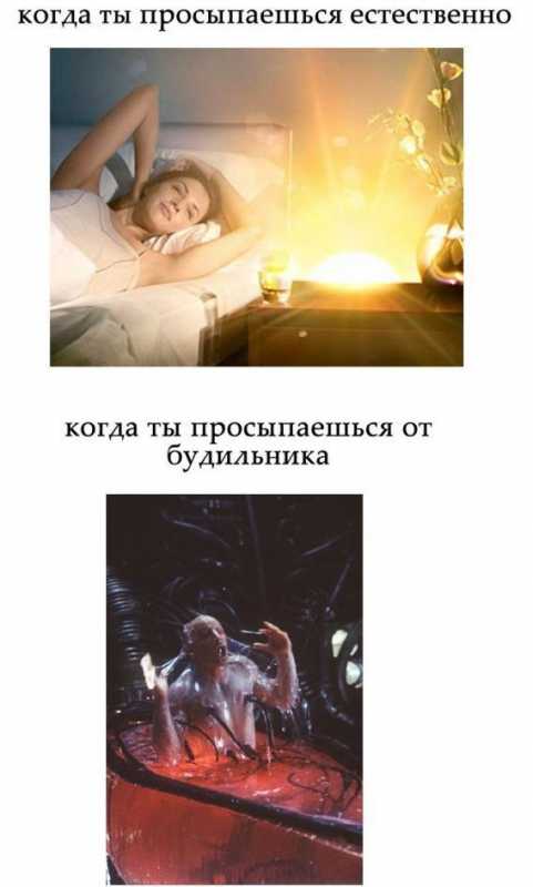 �������� 104.