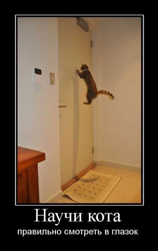 ������������.