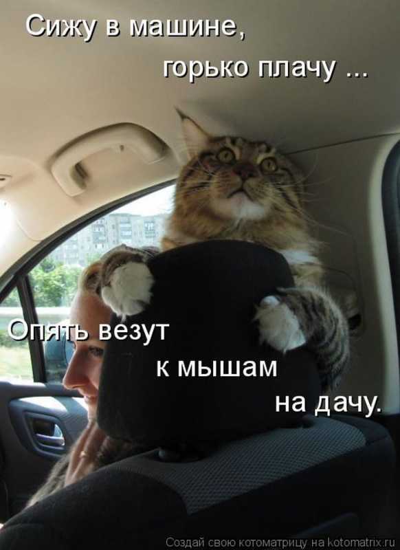 �����������.