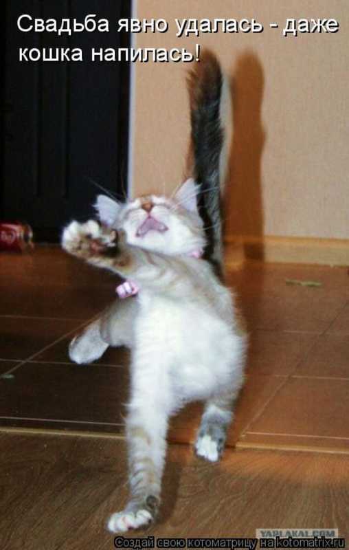 �����������.