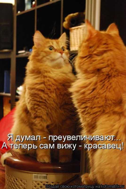 �����������.