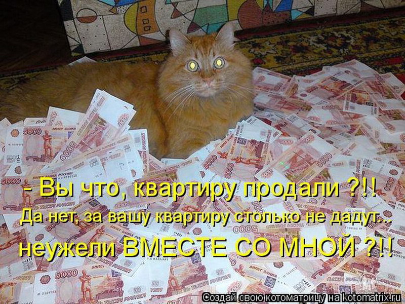 Тоже нужно купить. Коты с деньгами. Деньги прикол. Кот с деньгами прикол. Смешные картинки про деньги.