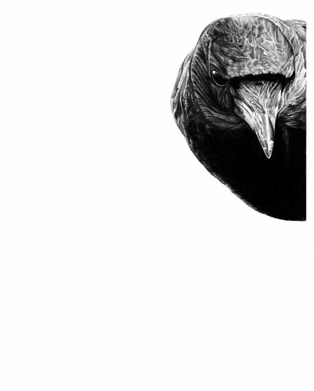 ������� ��� �����.