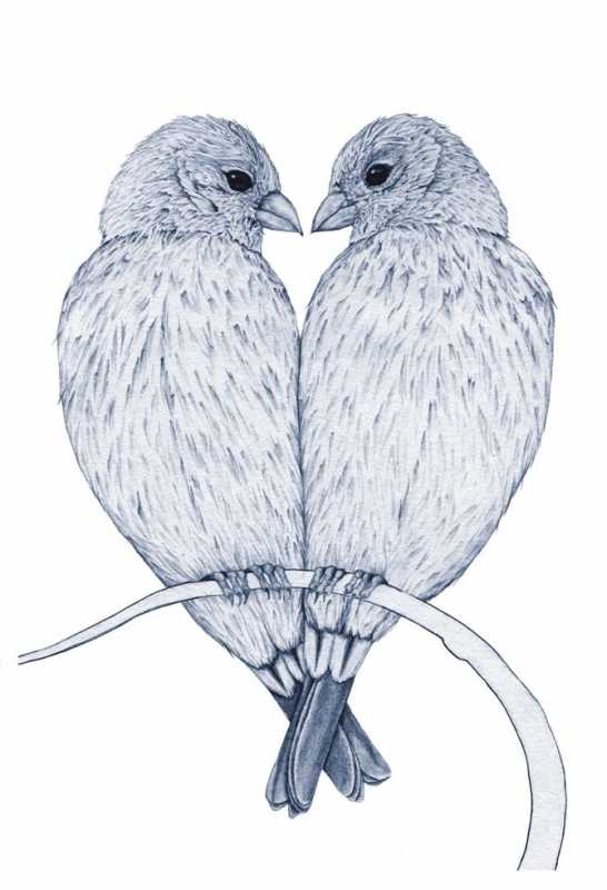 ������� ��� �����.