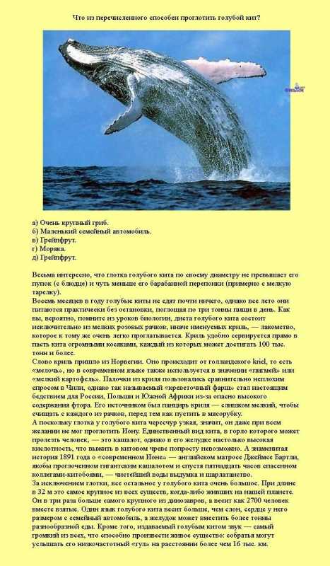 �������� �����������.