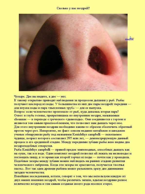 �������� �����������.