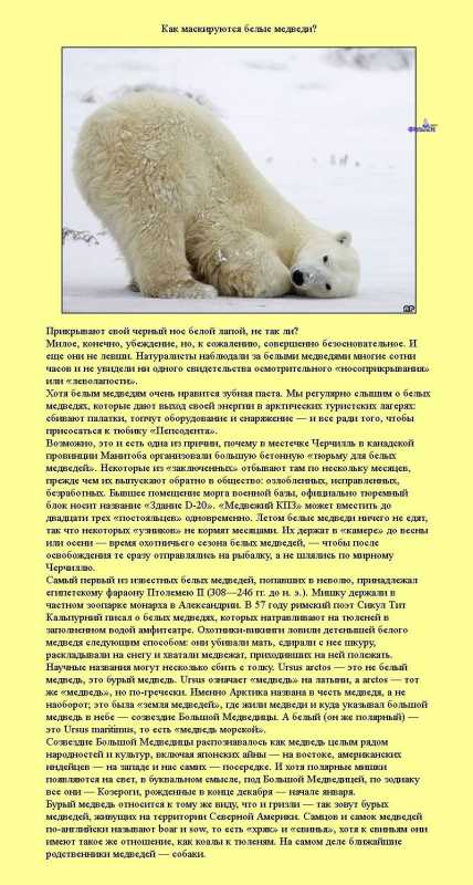 �������� �����������.