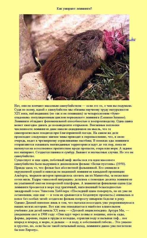 �������� �����������.