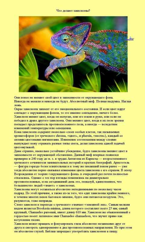 �������� �����������.