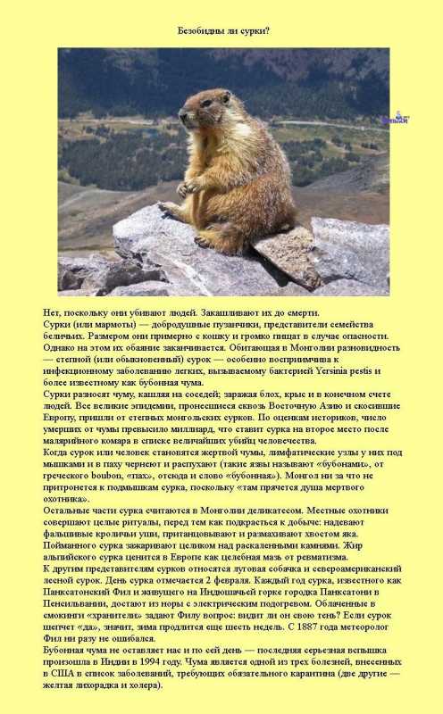 �������� �����������.