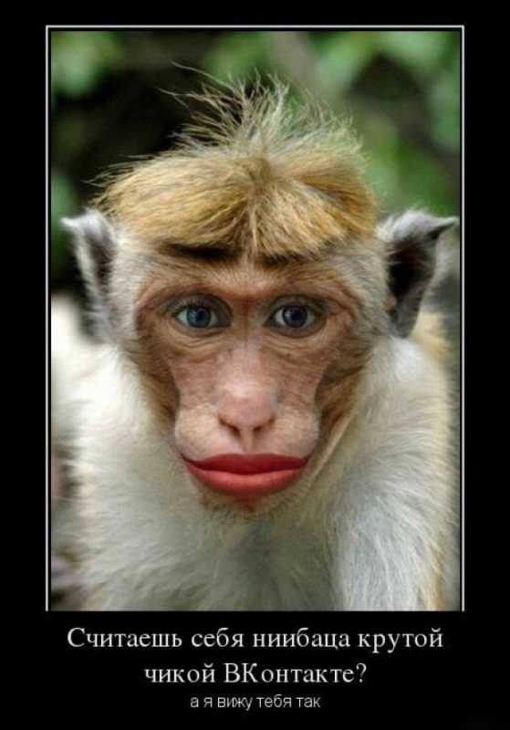 ������������.