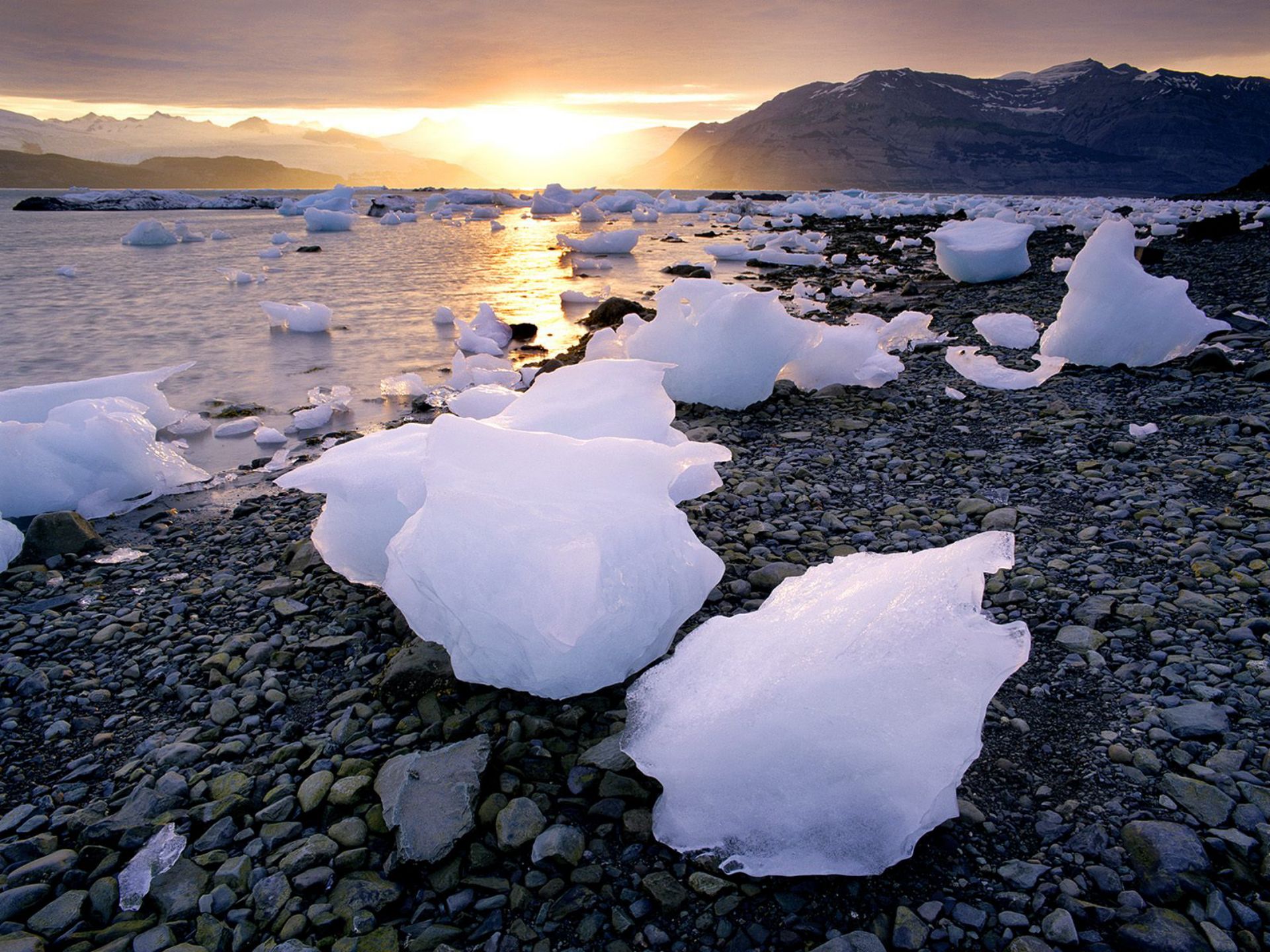 Кусочки льда на реке. Лед озеро Аляска. Исландия Северный Ледовитый океан. Айсберг Аляске. Ледяное побережье.