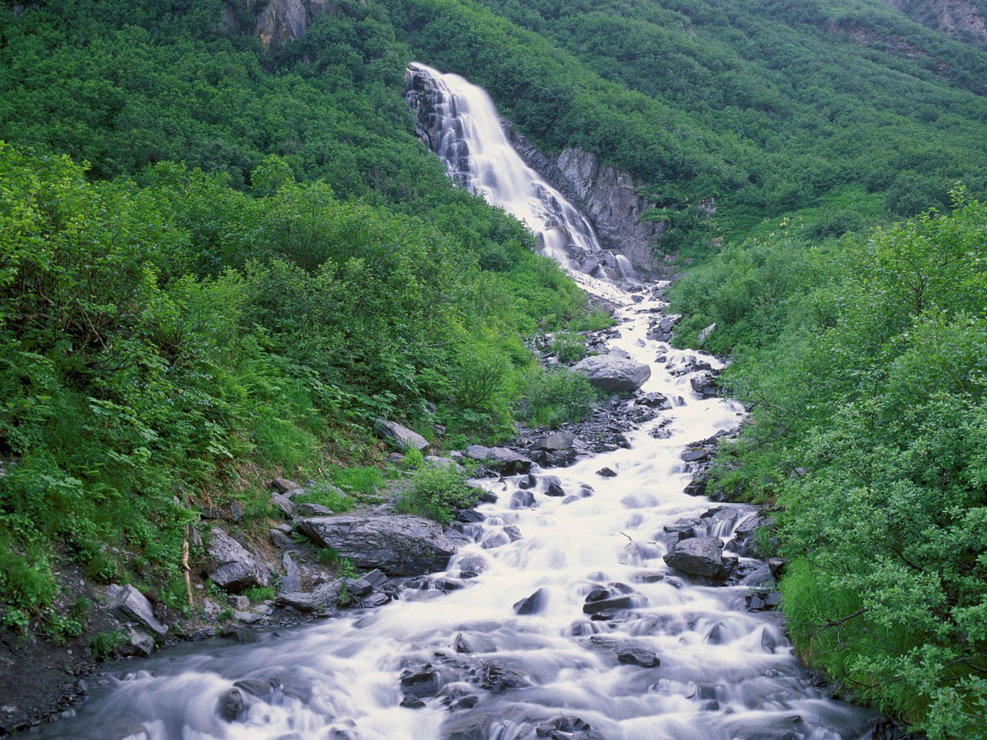 Потоки с гор воды. Река Мзымта кавказский заповедник. Река Шахе Кавказского заповедника. Водопад на реке Мзымта. Горная река Сочи бурная.