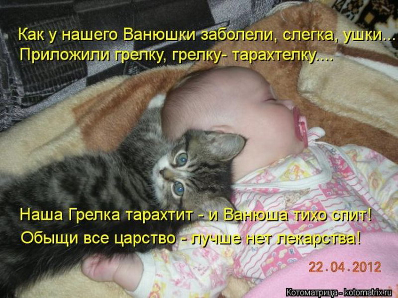 На горшок и спать. Спокойной ночи Котоматрица. Смешные картинки с подписями. Кушать и спать. Котоматрица спящие коты.