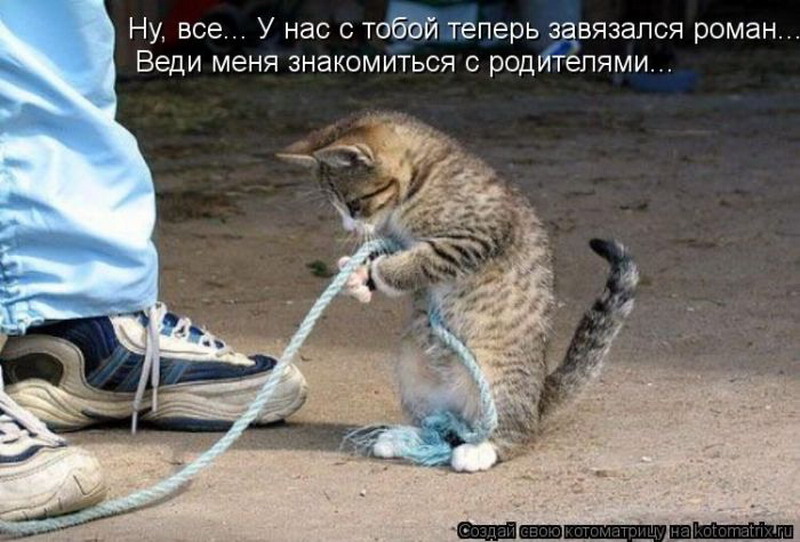 Не потяну. Мазохист. Мужчина и женщина перетягивают канат. Не потянешь princesse angine. Тянем потянем.