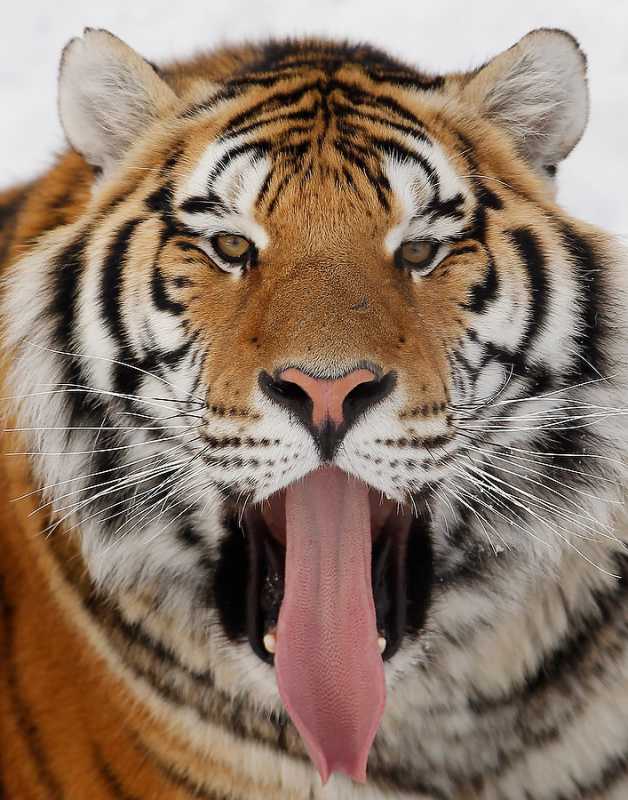 ��������....