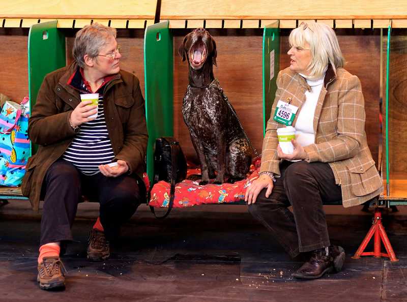 ��������....