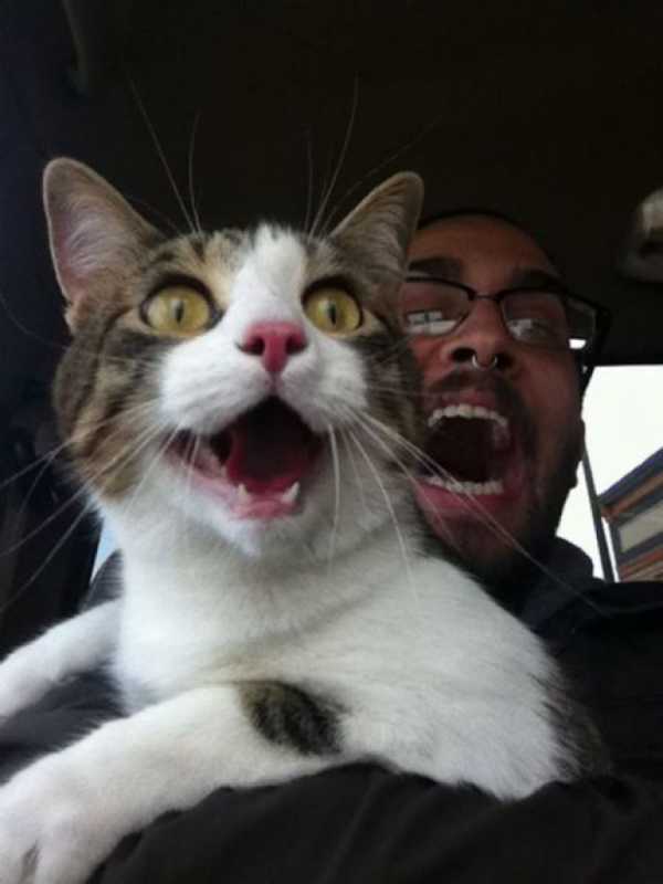 �������� - 74.