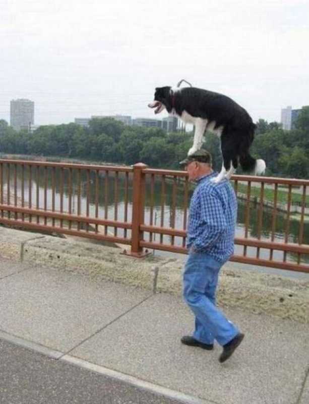 �������� - 74.