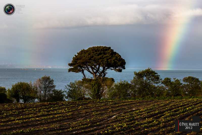 ������ ���� �������.