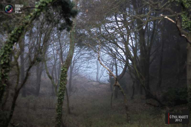 ������ ���� �������.