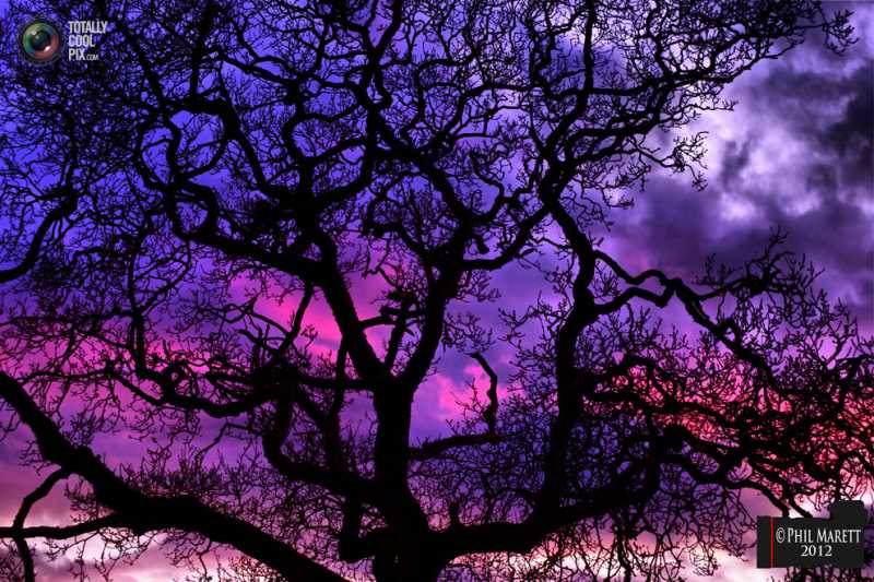 ������ ���� �������.