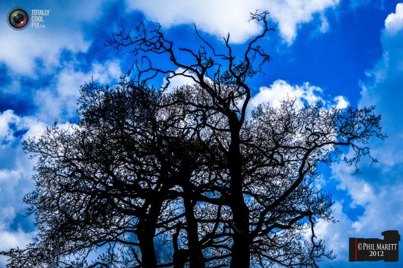 ������ ���� �������.