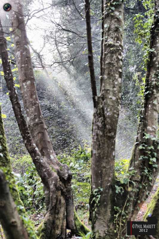 ������ ���� �������.