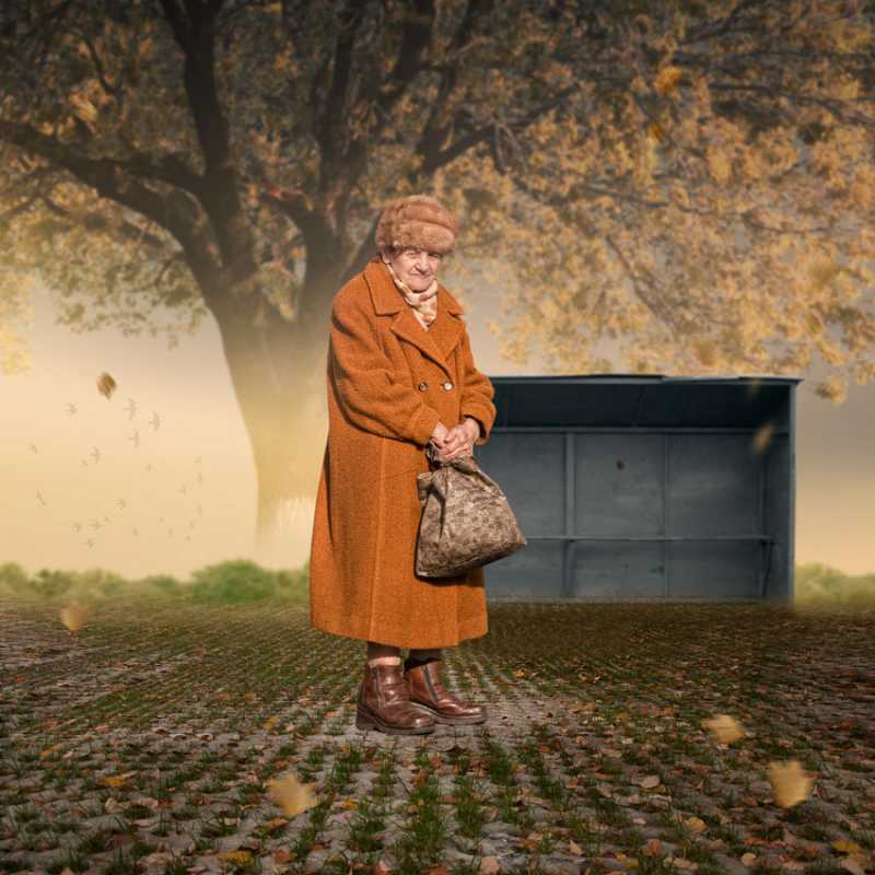 ��� �������