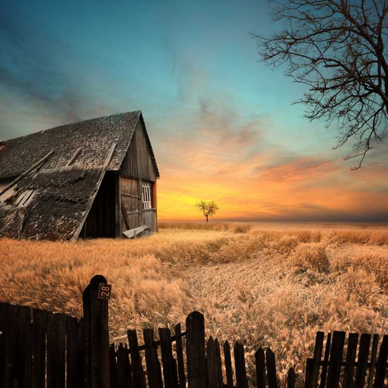 ��� �������