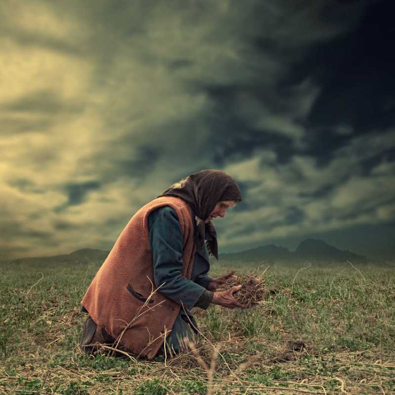 ��� �������