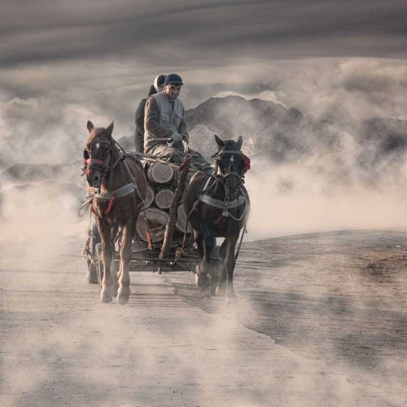 ��� �������