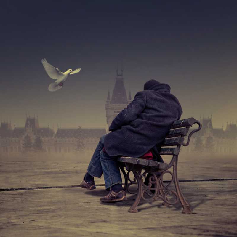 ��� �������